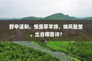 长沙地近悲才子，古郡山多忆旧庐。全诗是什么？