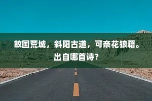 胡儿移帐寒笳绝，雪路时闻探马归。的解释