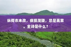 一对龙湖青眼开，乾坤倚剑独徘徊。的意思及出处