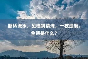 相从顾恩不雇己，何异浮萍寄深水。下一句是什么？