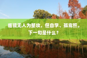 不奈君王容鬓衰，相存相顾能几时。上一句是什么？