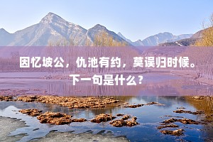 见说往年在翰林，胸中矛戟何森森。的意思及出处