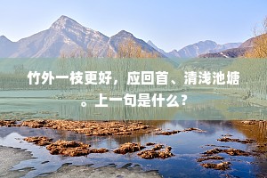 堂卑不受有美夺，地僻宁遭景华拓。的解释