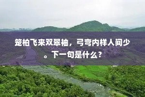 戎人长驱越大河，天下震惊观阙危。全诗是什么？