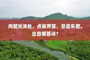 从今克己应犹及，颜与梅花俱自新。下一句是什么？