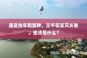 相思莫道无来使，回雁峰前好寄书。上一句是什么？