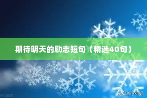 30句励志格言座右铭（通用8篇）