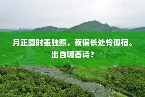 三日四日五六日，盘礴化元搜万类。上一句是什么？