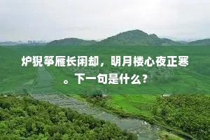 刺史密会山客意，复念网罗婴无辜。出自哪首诗？