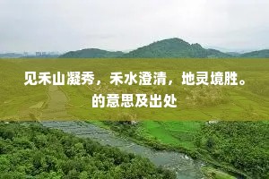 忽脱身上殷绯袍，尽买罟擭尽有无。的解释