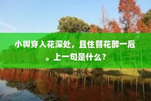 南方山水生时兴，教有新诗得寄余。的释义