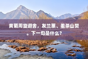 昨朝惆怅不如君，今日悲君不如我。上一句是什么？