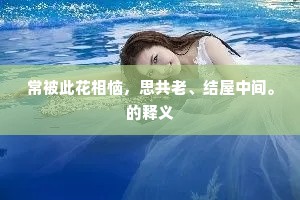 否泰交加无定主，懒学风云戢翎羽。的释义