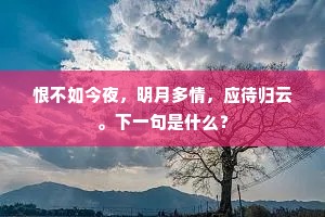 殷勤纤手惊破梦，中宵寂寞心凄然。的意思及出处