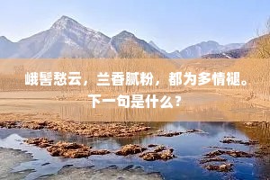 市头博米不用物，酒店买酒不肯赊。上一句是什么？
