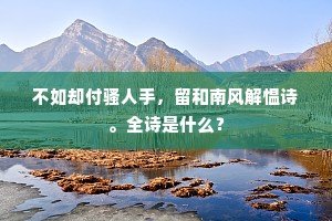 春风一番琴上来，摇碎金尊碧天月。的解释