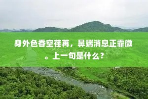 征西府里日西斜，独试新炉自煮茶。的解释