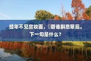 殷郎一旦过江去，镜中懒作孤鸾舞。的解释