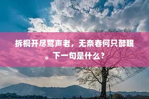 已知瑕玷劳磨莹，又得官司重接连。上一句是什么？