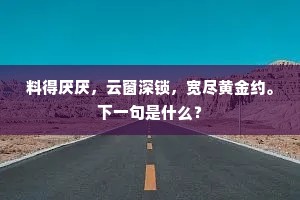 城中有客独登楼，遥望天边白银阙。的释义