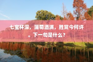 任他银箭转更筹，不怕金吾司夜吏。全诗是什么？