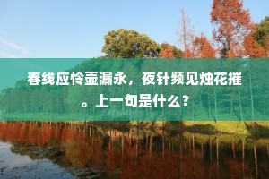 酒酣耳热眼生花，暂似京华欢会处。的释义