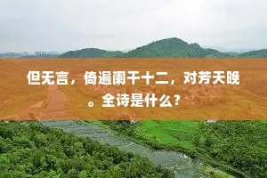别有肺肠成语的释义