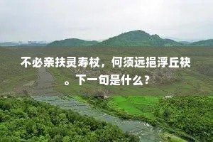 不为已甚成语的释义