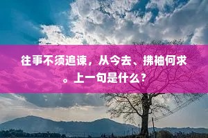 白雪飘颻传乐府，阮郎憔悴在人间。全诗是什么？