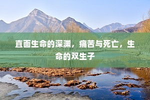直面生命的深渊，痛苦与死亡，生命的双生子