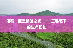 活着，便是破晓之光 —— 三毛笔下的生命韧劲