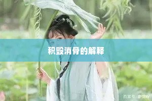 积毁消骨的解释
