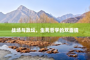 战场与政坛，生死哲学的双面镜