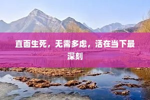 巢毁卵破成语的拼音