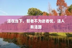 自有声名驰羽檄，不妨谈笑奉罇罍。上一句是什么？