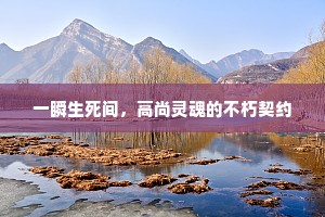 如今正得幽寻兴，佗日青云不易还。的解释