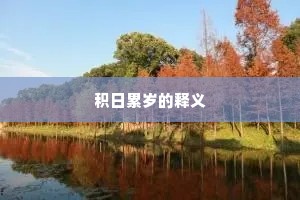积日累岁的释义