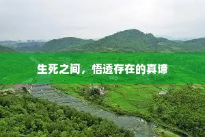疮痍满目成语的释义