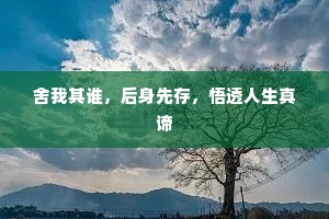 词不达意成语的释义