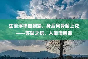 树带荒村春冷落，江澄霁色雾霏微。的解释