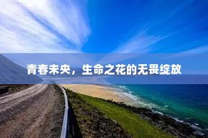各人自扫门前雪，莫管他家瓦上霜成语的解释
