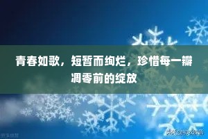 青春如歌，短暂而绚烂，珍惜每一瓣凋零前的绽放