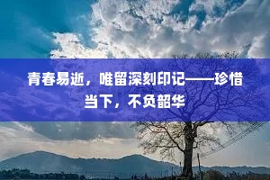 青春易逝，唯留深刻印记——珍惜当下，不负韶华