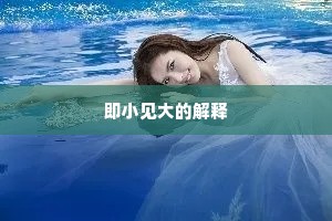 即小见大的解释