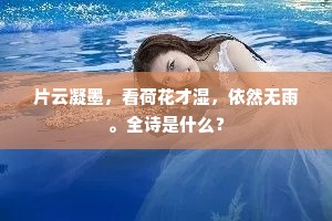 弓调马服成语的释义