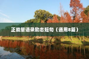 精选励志座右铭摘录35条（通用8篇）