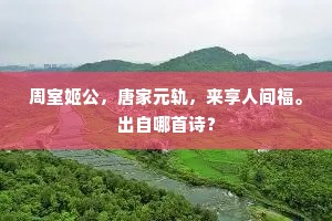 甘泉从幸余知忝，宣室征还子未迟。的意思及出处
