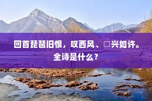 风烟不改年长度，终待林泉老此身。上一句是什么？