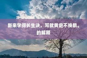 玉柄暂时疏末座，瑶华频复惠清音。下一句是什么？