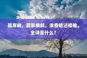 贱子今朝独南去，不堪回首望清闲。全诗是什么？